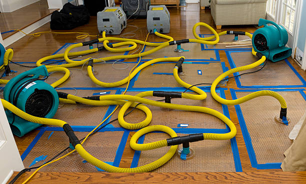 Professional Storm Water Damage Restoration technician working in Metaline, WA