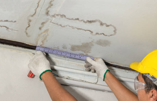 Affordable Water Damage Repair solutions in Metaline, WA